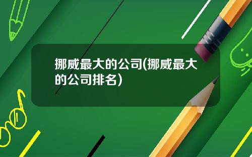 挪威最大的公司(挪威最大的公司排名)