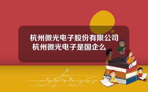 杭州微光电子股份有限公司 杭州微光电子是国企么