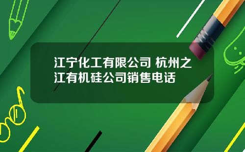 江宁化工有限公司 杭州之江有机硅公司销售电话