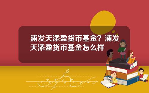 浦发天添盈货币基金？浦发天添盈货币基金怎么样