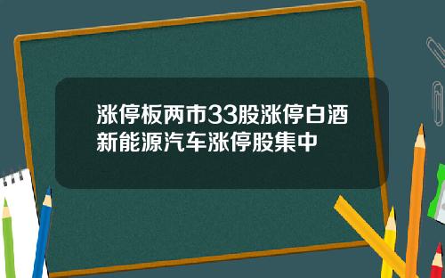 涨停板两市33股涨停白酒新能源汽车涨停股集中