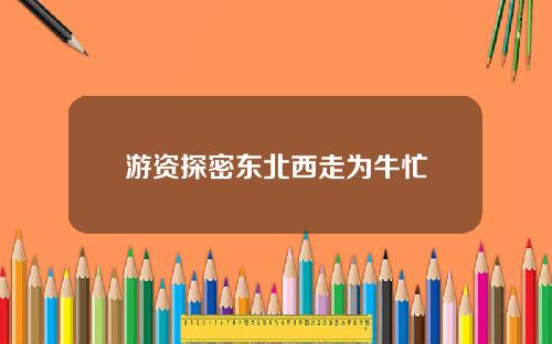 游资探密东北西走为牛忙