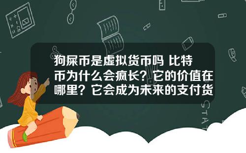 狗屎币是虚拟货币吗 比特币为什么会疯长？它的价值在哪里？它会成为未来的支付货币吗？