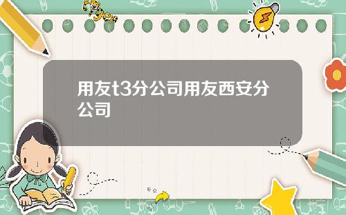 用友t3分公司用友西安分公司