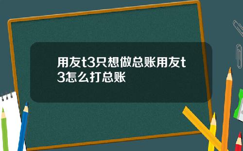 用友t3只想做总账用友t3怎么打总账