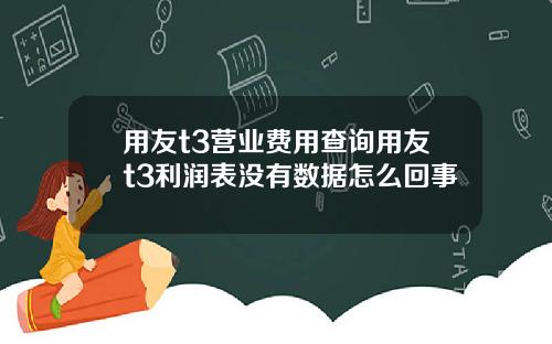 用友t3营业费用查询用友t3利润表没有数据怎么回事