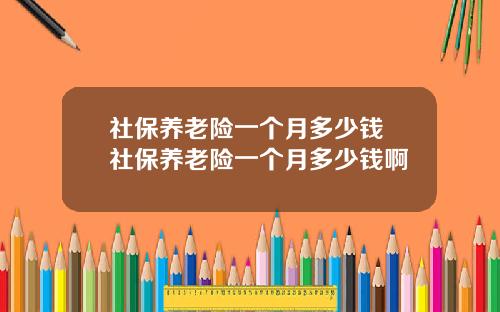 社保养老险一个月多少钱 社保养老险一个月多少钱啊