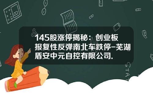 145股涨停揭秘：创业板报复性反弹南北车跌停-芜湖盾安中元自控有限公司.