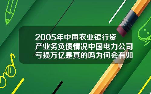 2005年中国农业银行资产业务负债情况中国电力公司亏损万亿是真的吗为何会有如此多的负债