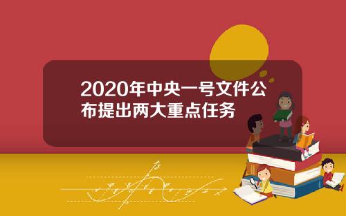 2020年中央一号文件公布提出两大重点任务