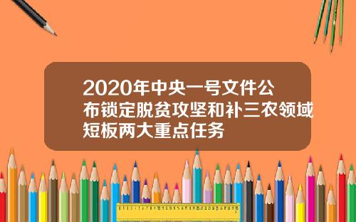 2020年中央一号文件公布锁定脱贫攻坚和补三农领域短板两大重点任务
