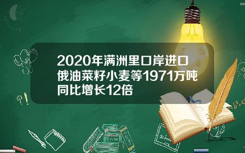 2020年满洲里口岸进口俄油菜籽小麦等1971万吨同比增长12倍