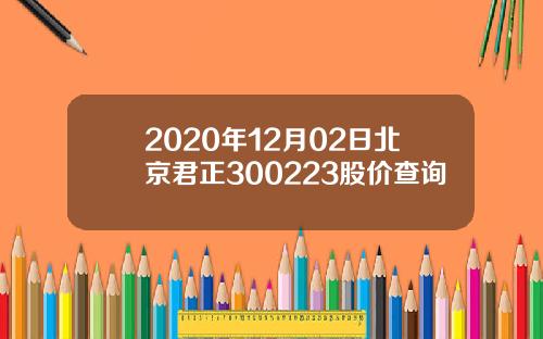 2020年12月02日北京君正300223股价查询