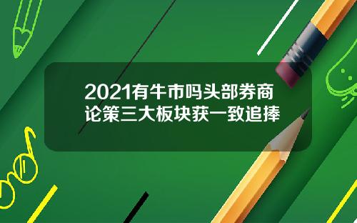 2021有牛市吗头部券商论策三大板块获一致追捧