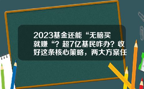 2023基金还能“无脑买就赚“？超7亿基民咋办？收好这条核心策略，两大方案任您选-基金好做吗