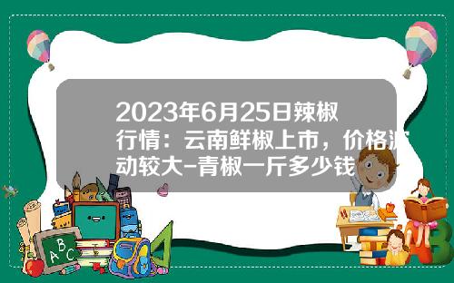 2023年6月25日辣椒行情：云南鲜椒上市，价格波动较大-青椒一斤多少钱