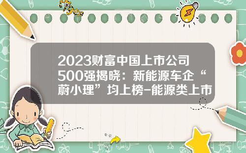 2023财富中国上市公司500强揭晓：新能源车企“蔚小理”均上榜-能源类上市公司【新闻】