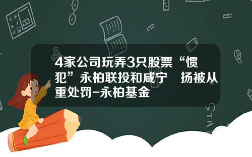4家公司玩弄3只股票“惯犯”永柏联投和咸宁碁扬被从重处罚-永柏基金