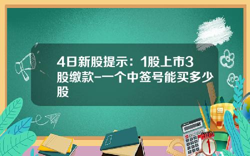 4日新股提示：1股上市3股缴款-一个中签号能买多少股