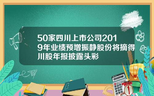 50家四川上市公司2019年业绩预增振静股份将摘得川股年报披露头彩
