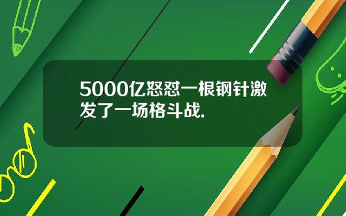 5000亿怒怼一根钢针激发了一场格斗战.