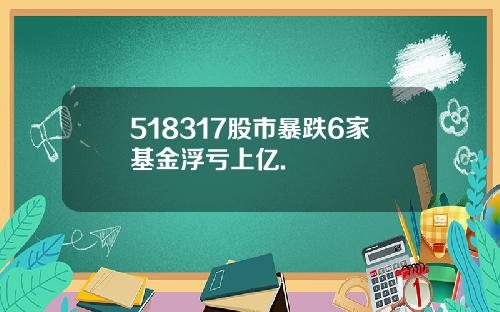 518317股市暴跌6家基金浮亏上亿.