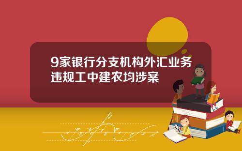 9家银行分支机构外汇业务违规工中建农均涉案
