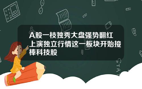 A股一枝独秀大盘强势翻红上演独立行情这一板块开始接棒科技股