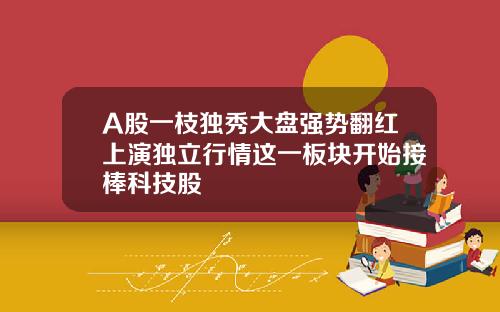 A股一枝独秀大盘强势翻红上演独立行情这一板块开始接棒科技股