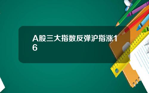 A股三大指数反弹沪指涨16