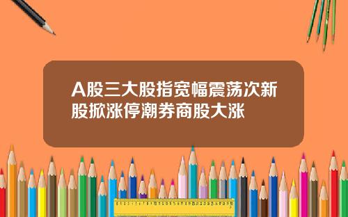 A股三大股指宽幅震荡次新股掀涨停潮券商股大涨