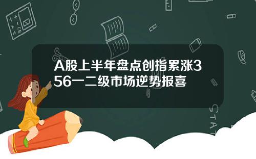A股上半年盘点创指累涨356一二级市场逆势报喜