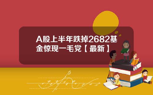 A股上半年跌掉2682基金惊现一毛党【最新】