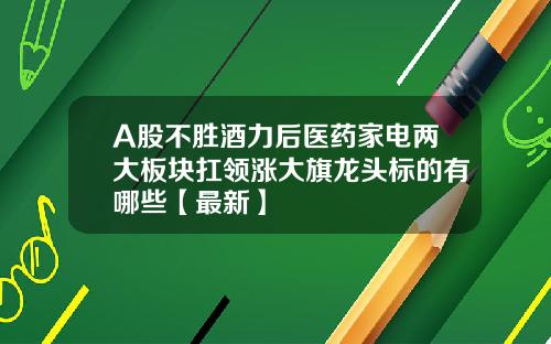 A股不胜酒力后医药家电两大板块扛领涨大旗龙头标的有哪些【最新】