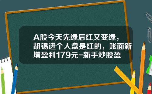 A股今天先绿后红又变绿，胡锡进个人盘是红的，账面新增盈利179元-新手炒股盈亏多少