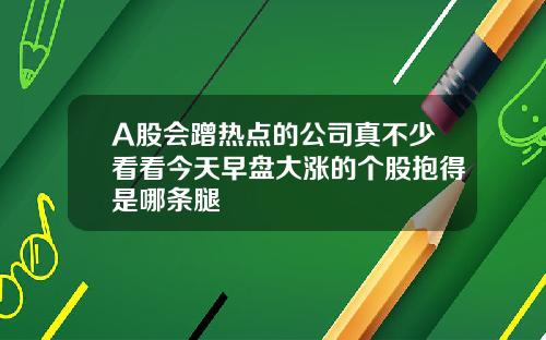 A股会蹭热点的公司真不少看看今天早盘大涨的个股抱得是哪条腿
