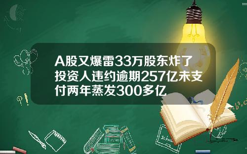 A股又爆雷33万股东炸了投资人违约逾期257亿未支付两年蒸发300多亿