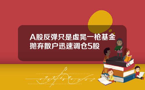 A股反弹只是虚晃一枪基金抛弃散户迅速调仓5股