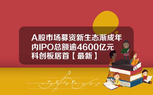 A股市场募资新生态渐成年内IPO总额逾4600亿元科创板居首【最新】