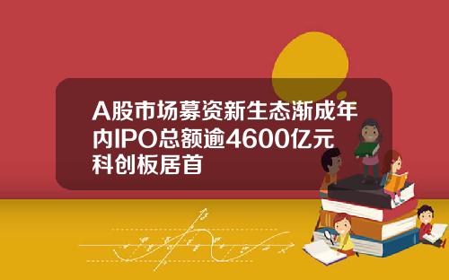 A股市场募资新生态渐成年内IPO总额逾4600亿元科创板居首
