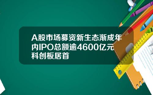 A股市场募资新生态渐成年内IPO总额逾4600亿元科创板居首