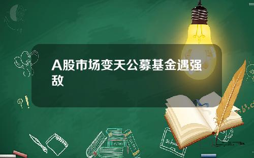A股市场变天公募基金遇强敌