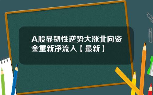 A股显韧性逆势大涨北向资金重新净流入【最新】
