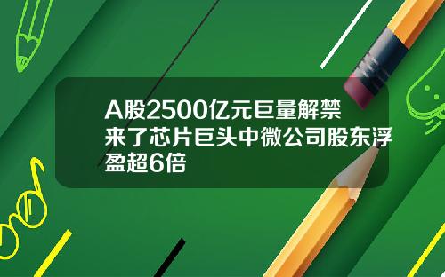 A股2500亿元巨量解禁来了芯片巨头中微公司股东浮盈超6倍