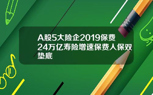 A股5大险企2019保费24万亿寿险增速保费人保双垫底