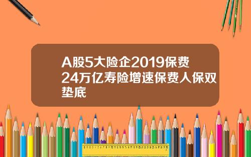 A股5大险企2019保费24万亿寿险增速保费人保双垫底