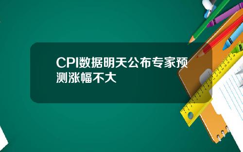 CPI数据明天公布专家预测涨幅不大