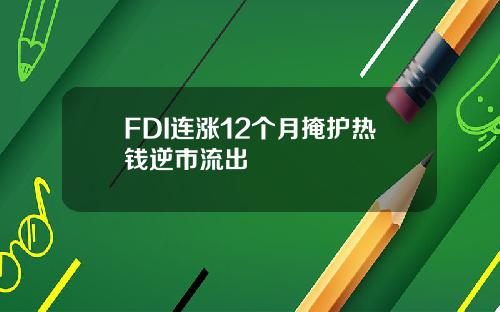 FDI连涨12个月掩护热钱逆市流出