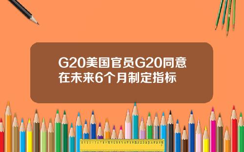 G20美国官员G20同意在未来6个月制定指标