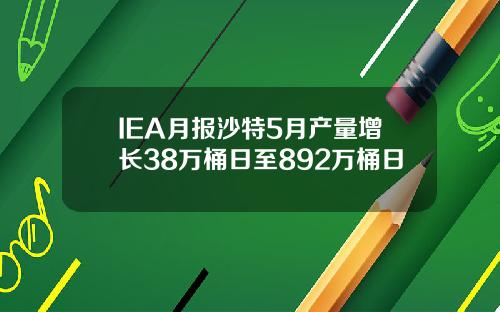 IEA月报沙特5月产量增长38万桶日至892万桶日